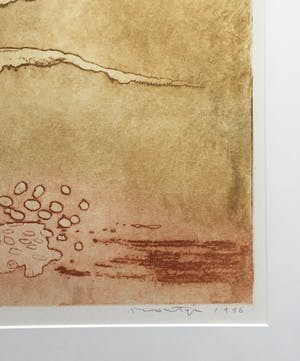 Jan Montyn - kleurenets - 1996 - oplage 25 - ingelijst kopen? Bied vanaf 135!