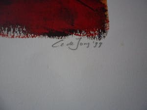 Cor de Jong - Cor de Jong: Zeefdruk, Contemplation kopen? Bied vanaf 30!