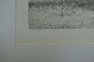 Reinder Homan - LANDSCHAP kopen? Bied vanaf 65!