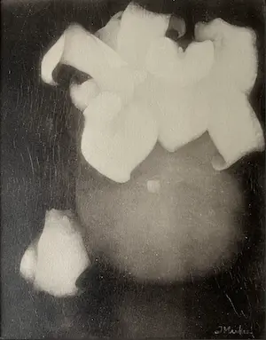 Jan Mankes - Originele Heliogravure Aronskelken 1923 kopen? Bied vanaf 85!
