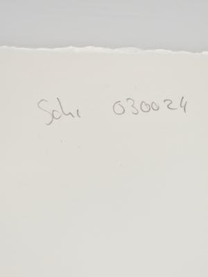 Susan Schildkamp - uilen kopen? Bied vanaf 50!