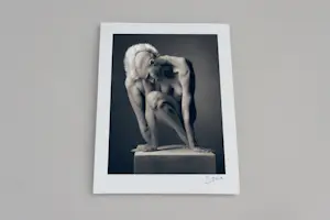 Vadim Stein - 'De laatste der Mohikanen' (2010) kopen? Bied vanaf 95!