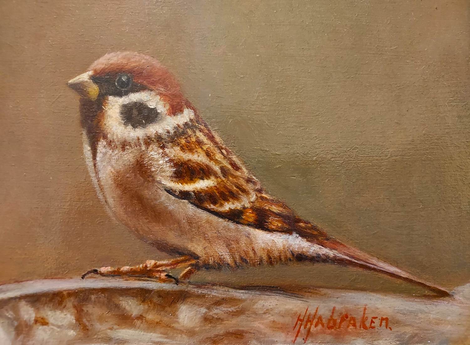 Hans Habraken - Het musje verkocht voor € 169!
