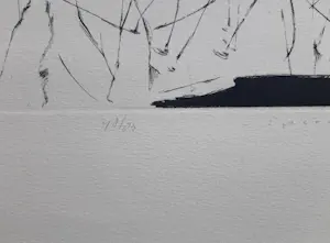 Kees Spermon - Die Winterreise kopen? Bied vanaf 45!