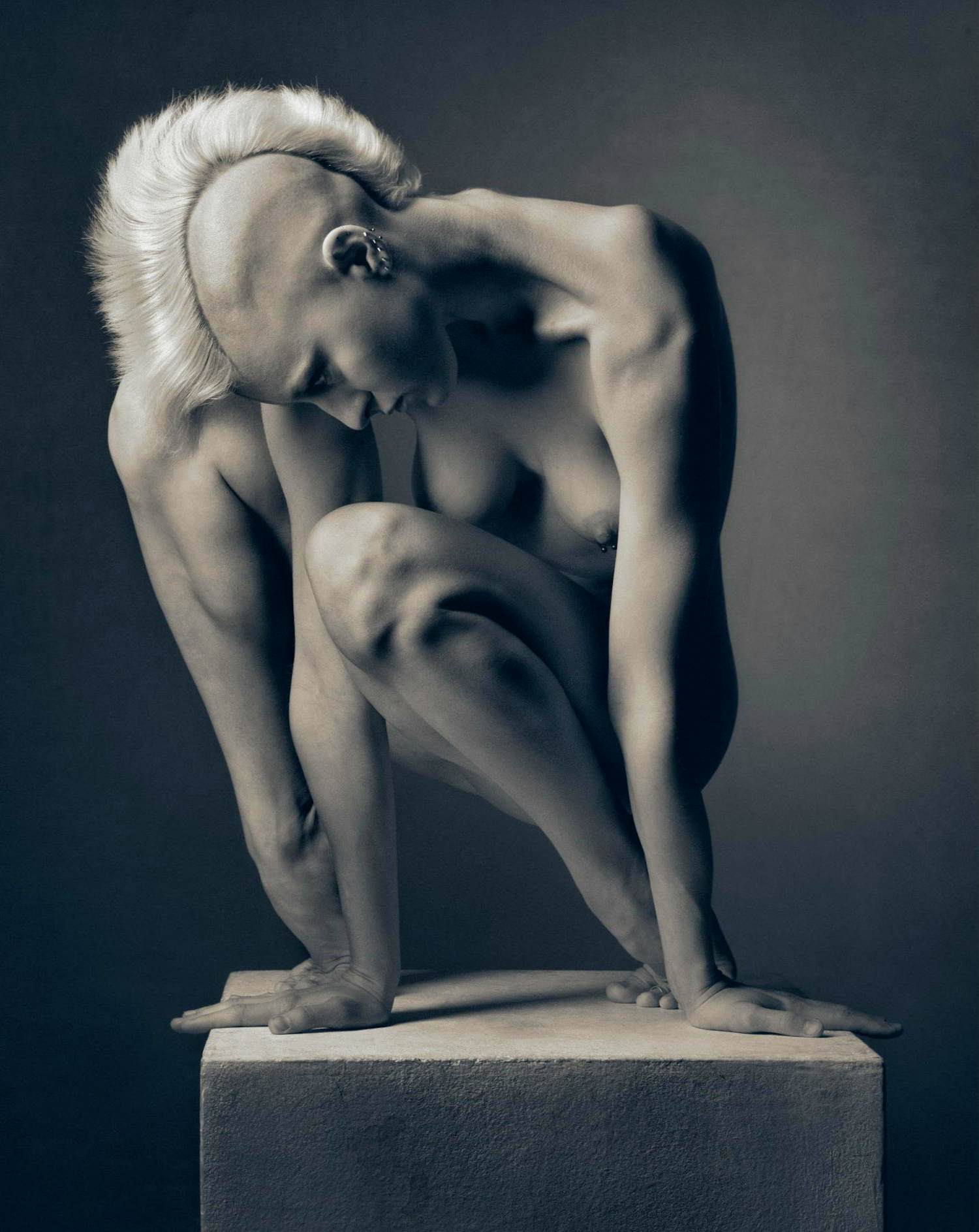 Vadim Stein - 'De laatste der Mohikanen' (2010) kopen? Bied vanaf 95!