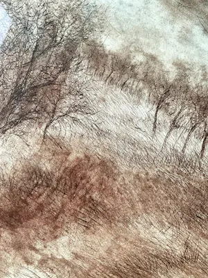 Onbekend - Kalendijk 3/10 (Dendermonde) kopen? Bied vanaf 60!