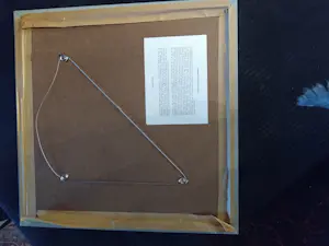 Karin Bos - Appearance/ Disappearence kopen? Bied vanaf 20!