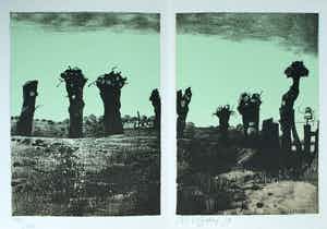 Nicolaas Wijnberg - Litho , Bomen – bijlage tijdschrift Petit No 2 - 1979 verkocht voor € 35!