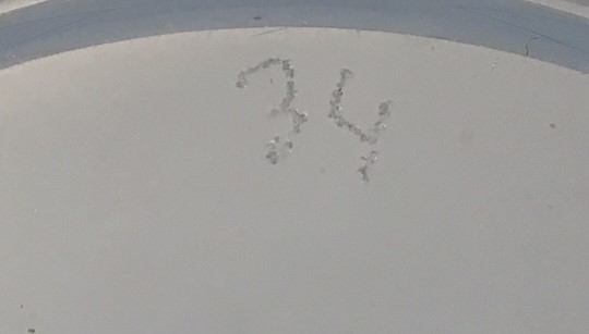 Niet of onleesbaar gesigneerd - Kristallerie Hartzviller - Blank kristallen karafje  kopen? Bied vanaf 1!