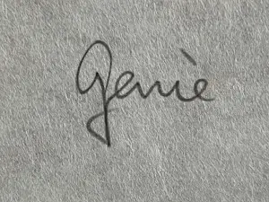 Ad Gerritsen - TWEE HOUTDRUKKEN MET DEZELFDE OPLAGENUMMERS kopen? Bied vanaf 90!