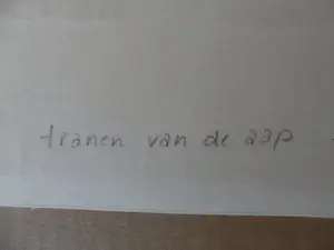 Willy van der Duyn - Houtsnede. Titel, "Traan van de aap". kopen? Bied vanaf 40!