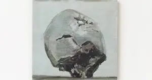 Luc Tuymans - APPLE kopen? Bied vanaf 350!