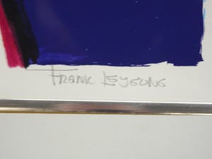 Frank Lejeune - First Visit Veules les Roses kopen? Bied vanaf 75!