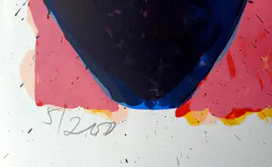 Jan Cremer - kleurrijke zeefdruk: tulpen - 1996 kopen? Bied vanaf 20!