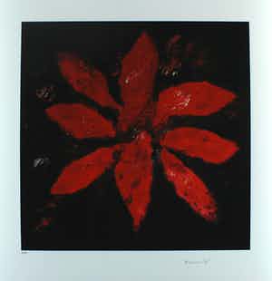 Armando - Kleurengiclee DIE BLUME ROT Handgesigneerd. verkocht voor € 149!