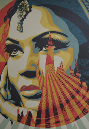 Shepard Fairey - Target Exceptions - gesigneerd kopen? Bied vanaf 1!