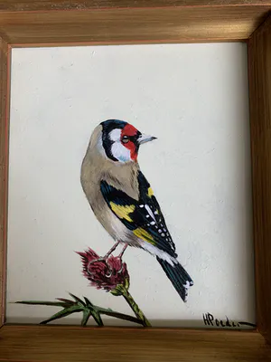 Henk Poeder - Vogel kopen? Bied vanaf 89!
