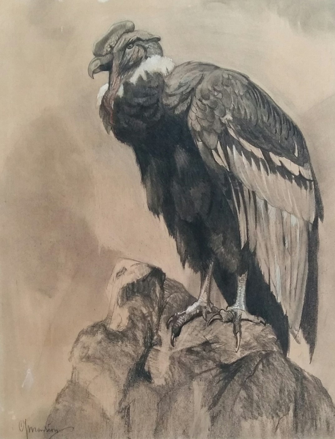 Cornelis Jan Mension - Condor verkocht voor € 350!