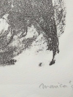 Niet of onleesbaar gesigneerd - Lithografie - Stier. kopen? Bied vanaf 10!