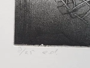 Jan Prins - Prachtige Ets - Gesigneerd in potlood kopen? Bied vanaf 15!
