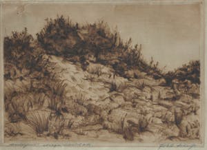 Johan D. Scherft - Ets , “Duinpunt” – gesigneerd – ca 1940 kopen? Bied vanaf 10!