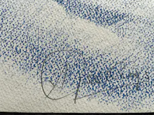 Anton Geerlings - Naakt kopen? Bied vanaf 60!