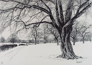 Patrick Creyghton - Zonder titel kopen? Bied vanaf 45!