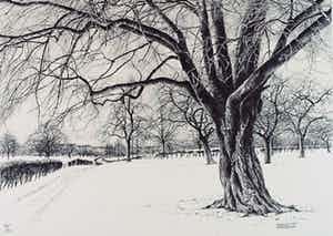 Patrick Creyghton - Zonder titel verkocht voor € 45!