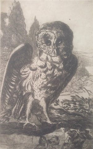 Cornel Kwint - Torenuil kopen? Bied vanaf 35!