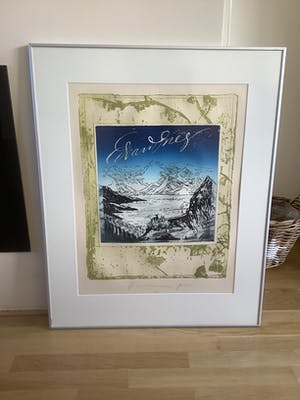 Pieter Alewijns - Edvard Krieg kopen? Bied vanaf 25!