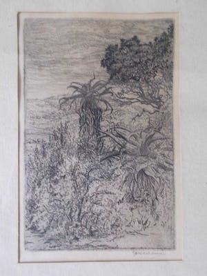 Jan Coenraad Nachenius - Boslandschap in Zuid-Afrika - 1921/1922 kopen? Bied vanaf 35!