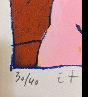 Wouter Stips - It takes a lot of orange to colour a nation kopen? Bied vanaf 129!