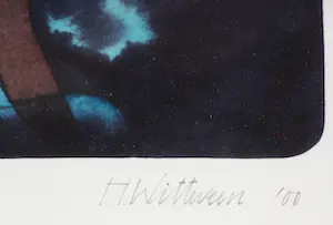 Hollie Witteveen - Nachtvlucht kopen? Bied vanaf 25!