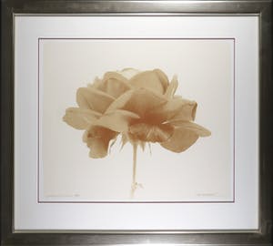 Paul Blanca - Zeefdruk, Marlene - Ingelijst (Groot) kopen? Bied vanaf 80!