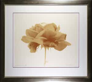 Paul Blanca - Zeefdruk, Marlene - Ingelijst (Groot) verkocht voor € 80!