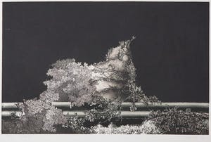 Bruno Missieri - Aquatint, Cespuglio kopen? Bied vanaf 1!