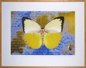 Mark Verdoes - Giclée, Vlinder IV - Ingelijst kopen? Bied vanaf 1!