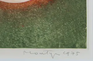 Jan Montyn - Ets, Dry Rock Garden - Ingelijst kopen? Bied vanaf 100!