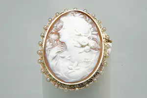 68 - grote ovalen Victoriaanse broche met fraai gedetaill portret en parelrand kaufen? Bieten Sie von 320!