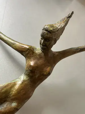 Corry Ammerlaan - Vreugdedans kopen? Bied vanaf 119!