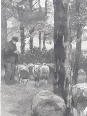 Willem Steelink (jr.) - Boer met schapen aan slootkant. kopen? Bied vanaf 49!