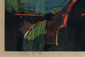 Vincent van Ojen - Vlierbessen kopen? Bied vanaf 120!