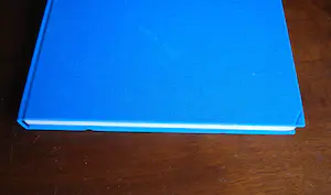 Herman Brood - Woedend Licht, incl zeefdruk + diversen kopen? Bied vanaf 100!