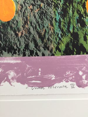 Jelis van Dolderen - Luna colorata III - Zeefdruk (groot) kopen? Bied vanaf 40!