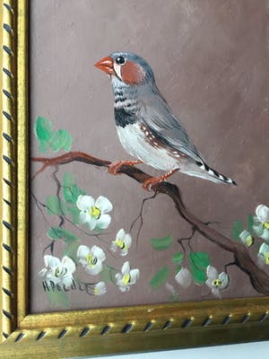 Henk Poeder - Vogel kopen? Bied vanaf 50!