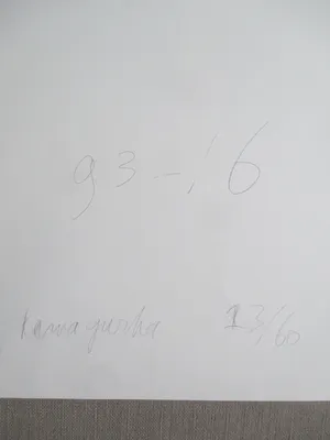 Kamagurka - Litho Sonsbeek 1993 kopen? Bied vanaf 90!