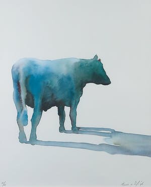 Erwin van Zijl - Giclée, Koe - Ingelijst kopen? Bied vanaf 80!