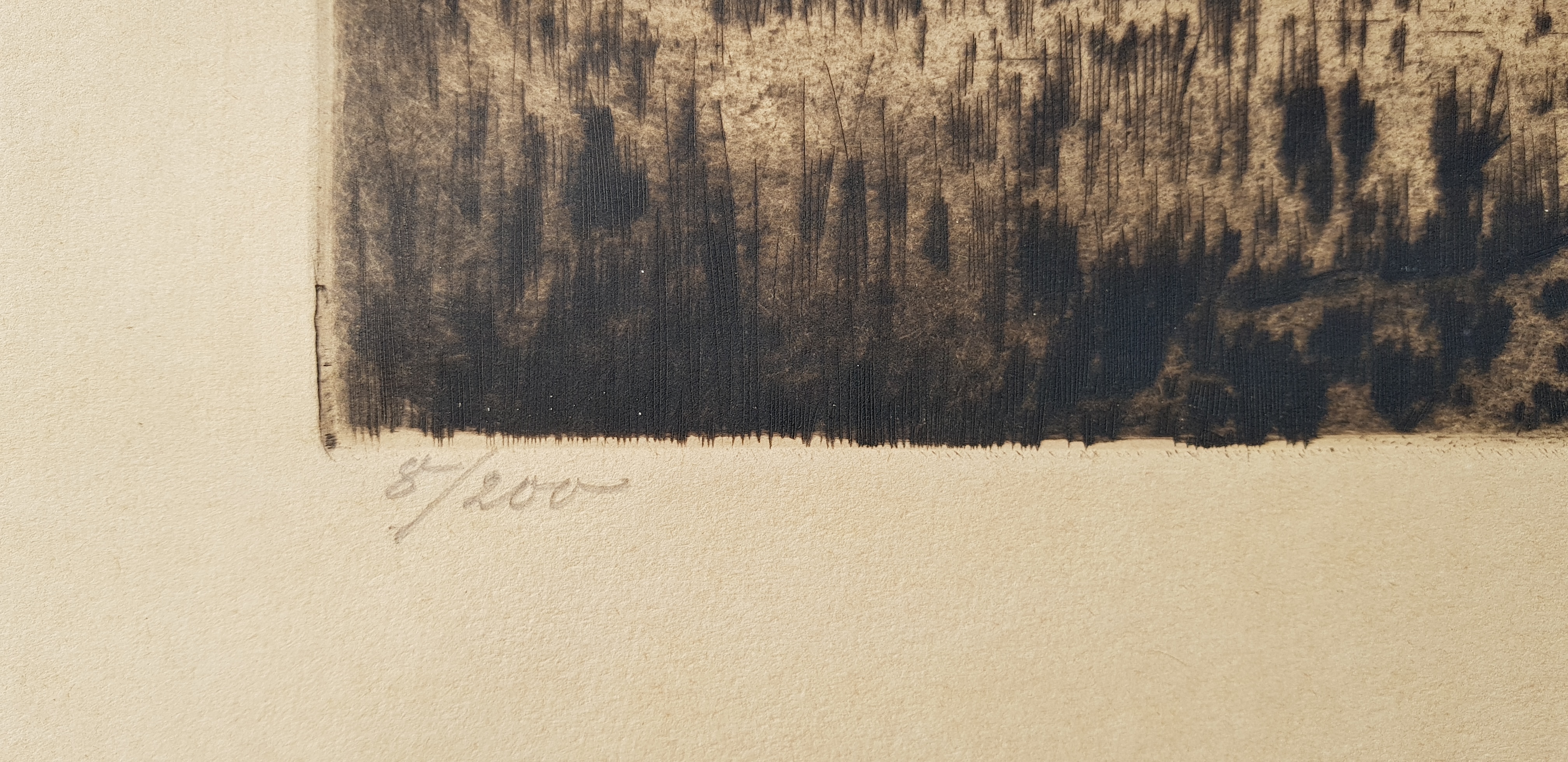 Niet of onleesbaar gesigneerd - Ets, opl. 8/200 kopen? Bied vanaf 1!