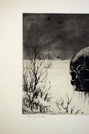 Hans van Dokkum - Gespiesde skul in een winters polderlandschap kopen? Bied vanaf 50!