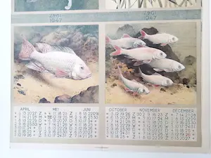 Jan Voerman (jr.) - kalender 1947 - ongesneden blad kopen? Bied vanaf 1!